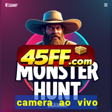camera ao vivo porto de galinhas